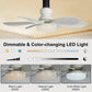 💡🪭 Ventilateur 2 en 1 Portable 2026 | Lumière + Télécommande | Qualité Premium Inégalée ✨