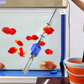 Elektrischer Saugnapf-Aquarium-Wasserwechsler-Filterreiniger Nein