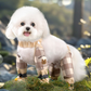 Pantalon Anti-Poussière d’Extérieur pour Chiens