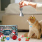 Noël Calendrier de l’Avent Jouets pour Chats et Chiens
