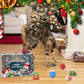 Noël Calendrier de l’Avent Jouets pour Chats et Chiens