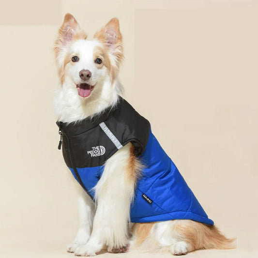 Manteau d'hiver imperméable et coupe-vent pour chien