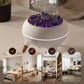 Diffuseur d'huiles essentielles et humidificateur Dynamic Jellyfis