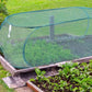⏳Offre limitée dans le temps : 50 % de réduction⏰Bâche de protection pour plantes Pop-Up🌱🛡️