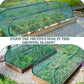 ⏳Offre limitée dans le temps : 50 % de réduction⏰Bâche de protection pour plantes Pop-Up🌱🛡️