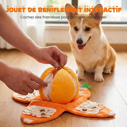 🐶 -50 % 🍊 Jouet en peluche interactif Orange « Cache-cache », jeu d'occupation interactif pour chiens